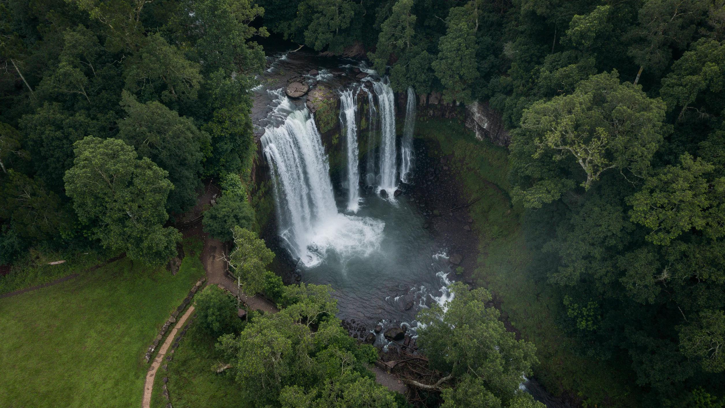 Aerial view of a waterfall, winding path, and dense green forest